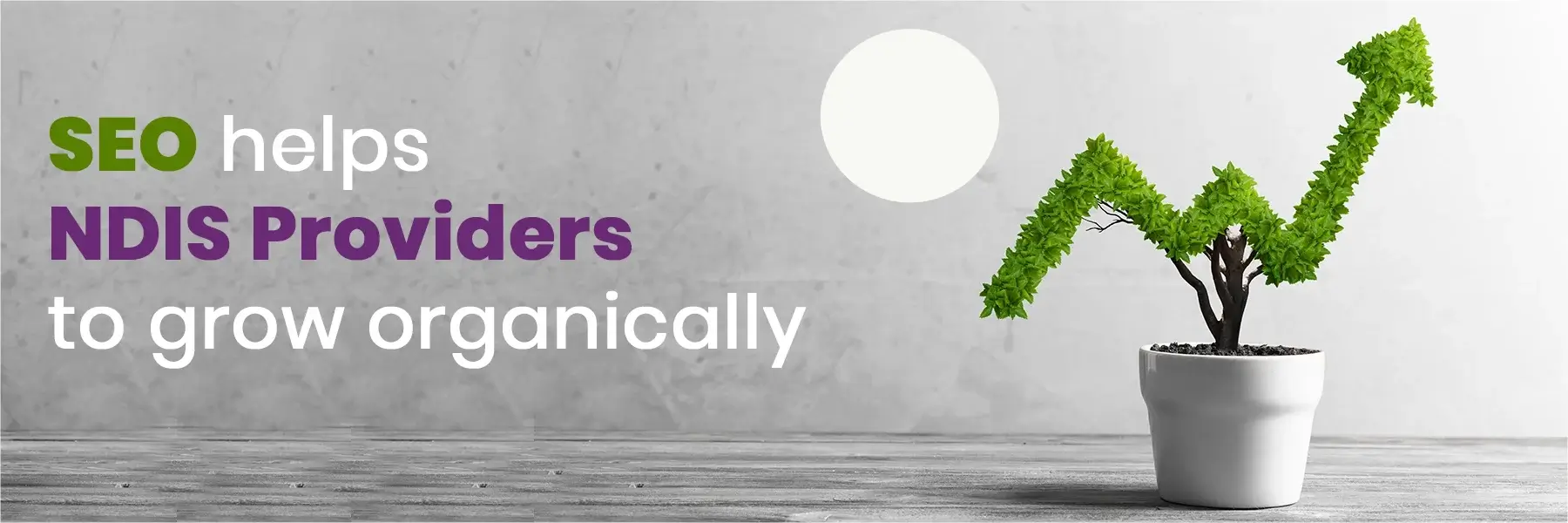 SEO helps NDIS Providers to grow organically [Updated]