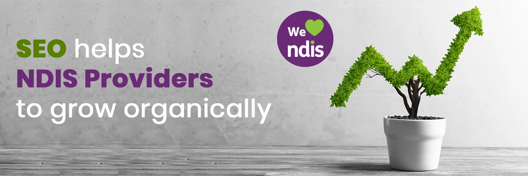 SEO helps NDIS Providers to grow organically